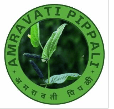 Amravati Pippali