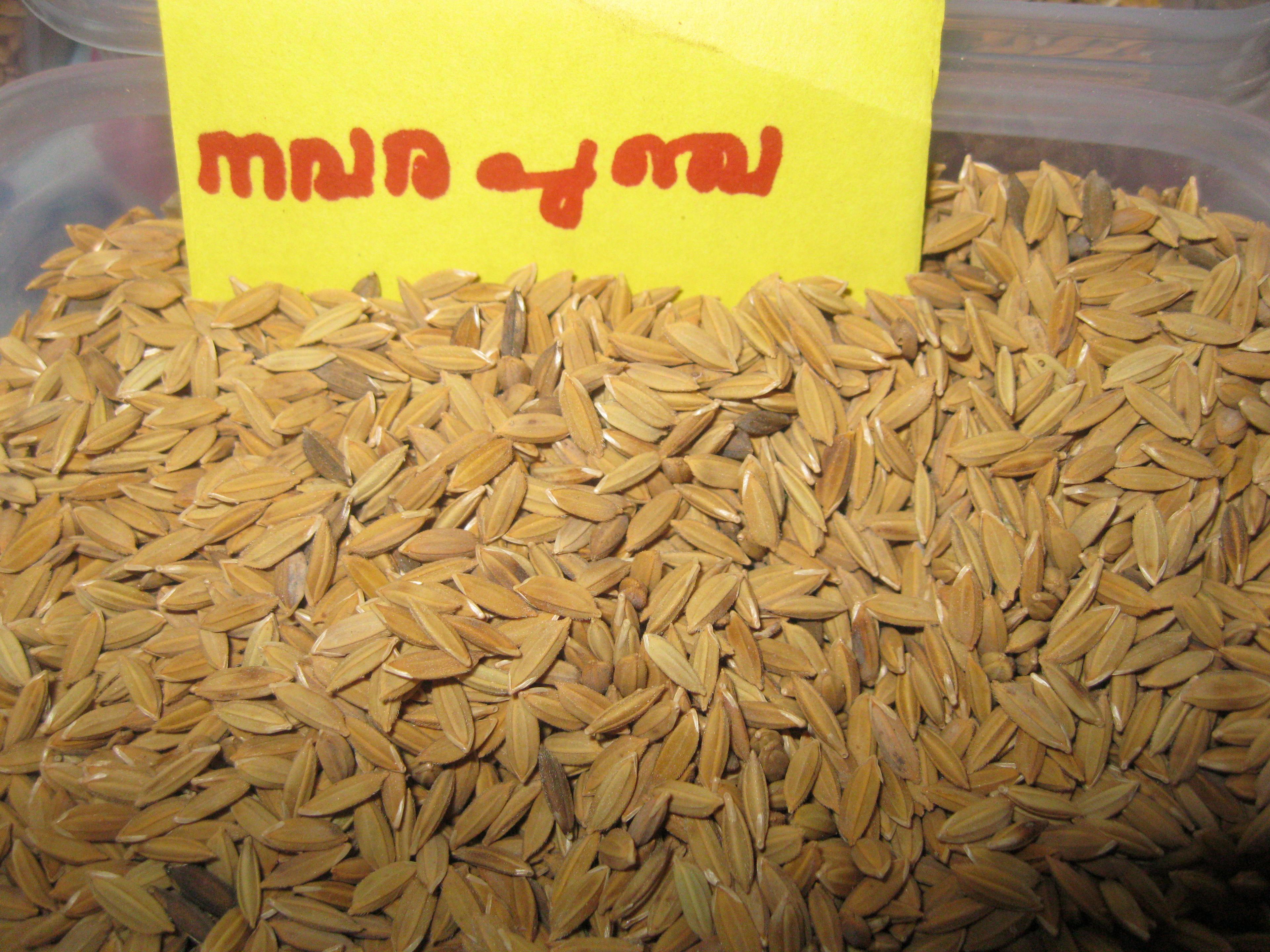 Navara Rice (Kerala) — 1kg Pack